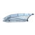 North Wing MODE PRO 2025