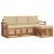 Set vanjskih sofa s jastukom 4 pcs Prirodna i bež