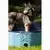 Coolpets Bazen za pse Splash - o 100 x 30 cm