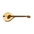 Irski Bouzouki Pro natura silver 513.970 Gewa