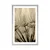Plakat s paspartujem semena regrata v sepia varianti - 20x30 white