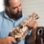 Ugears 3D lesena mehanska sestavljanka Hurdy-Gurdy