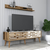 Hanah home TV Komoda Valensiya 140 Šarena