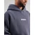 Superdry Majica temno siva/bela