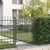 Vidaxl Vrata ograje s bodicami EMMEN 125 x 100 cm