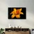 Wallity Image CAM-5025, 70x110cm