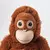 DJUNGELSKOG Plišana igračka, orangutan