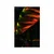 Plakat tropski palmovi listi - 60x90 no frame