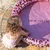 Swim Essentials bazen 100cm ( 51093184 )