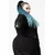 Pulover moška - At Ease - KILLSTAR - KSRA004044