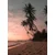 Venture Design Poster Summer 50x70 cm roza