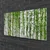 tulup.si Slika na akrilnem steklu Birch tree forest narava 120x60 cm 4 obešalnika
