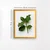 Wallity Zidna dekoracija AC7406288861, 24 x 29 cm, Šarena
