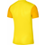 Dres Nike NK DF TROPHY V JSY SS