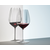 RIEDEL PERFORMANCE CABERNET/MERLOT Čaše za crveno vino, 2 komada, 834ml