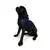 Paws & Whiskers Am za pse Air-Mesh, Plavi