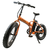 Električni bicikl Xplorer Sydney, 6816