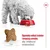 Royal Canin Mini Adult - 4 kg