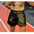 MIZDAK mma performance Šorc Muay Thai, Crno-zlatni