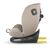 Coccolle avtosedež Nova 2022 Isofix iSize (0-36kg), Sand beige