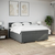 vidaXL Box spring postelja z vzmetnico temno siva 200x200 cm blago