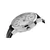 Casio LTP1303L7BVDF pisana