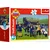Trefl Display Puzzle Fireman Sam 54 kosov (40 kosov)
