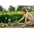 Cellfast Kultivator ERGO