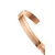 Zapestnica Daniel Wellington