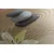 Slika Zen kamni v pesku - 60x30