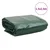 shumee Ponjava zelena 1,5x2,5 m 600 g/m2