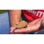 shumee Method/Feeder Fluo Pop-Up Micro Boilies 8mm/20g dimljeni losos