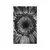 Plakat črnobela gerbera - 60x90 no frame