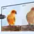 XIAOMI ECO Xiaomi 2K Monitor A27Qi 2026
