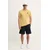 Lacoste kratka majica moška