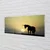 tulup.si Slika na akrilnem steklu Polje sunset samorog 140x70 cm 2 obešalnika