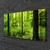 tulup.si Slika na platnu Green forest trees narava 100x50 cm