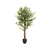 MID.YOU Umetna Rastlina Ficus