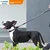 Dogness Povodac za pse L, Crni