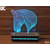 Black Cut 3D Lampa Glava konja, RGB