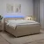 vidaXL Postelja boxspring z vzmetnico Krem 160 x 200 cm Blago