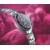 CERTINA C048.807.44.051.01