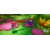 SWITCH Trolls Remix Rescue