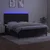 Vidaxl Box spring postelja z vzmetnico LED črna 160x200 cm žamet