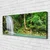 tulup.si Slika na platnu Forest slap narava 120x60 cm