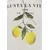 Key Largo Majica CITRUS TREE kremna/mešane barve