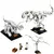 LEGO® Ideas Dinosaur Fossils (21320)