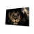Wallity Slika 221JRS1162, 60x90 cm