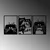 WALLXPERT Cats