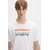Levis kratka majica moška bombažna COMMUNITY TEE x PRIDE